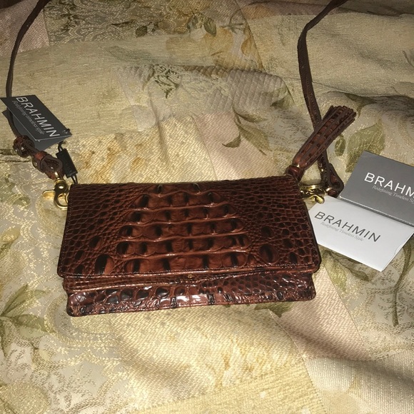 Brahmin - Picture 4 of 5